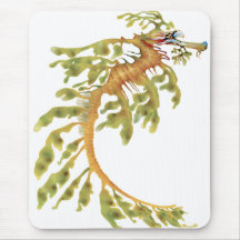 Leafy Seadragon
