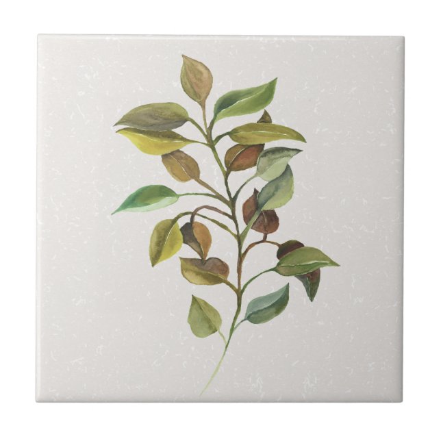 Leafy Spray Cream Accent  Ceramic Tile (Front)