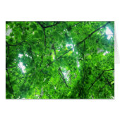 Leafy Tree (Front Horizontal)