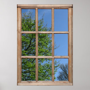 Leafy Tree View from a Window Poster