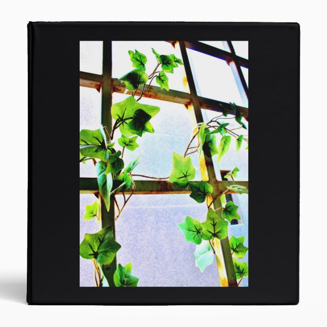 Leafy Window 3 Ring Binder (Front)