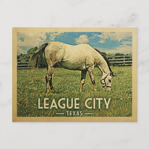 League City Texas Horse Farm _ Vintage Travel Postcard