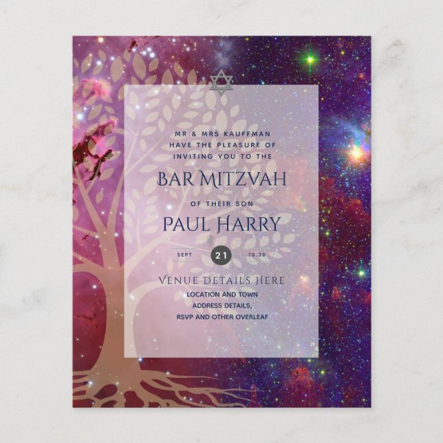 LeahG Elegant Chic Bar Mitzvah Jewish Torah Chic Flyer (Front)