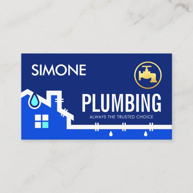 Leaking Home Pipe Frame Business Card (Front)