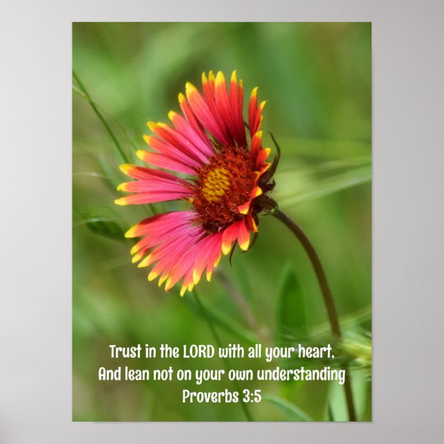 Leaning Firewheel Wildflower and Bible Verse Poster (Front)