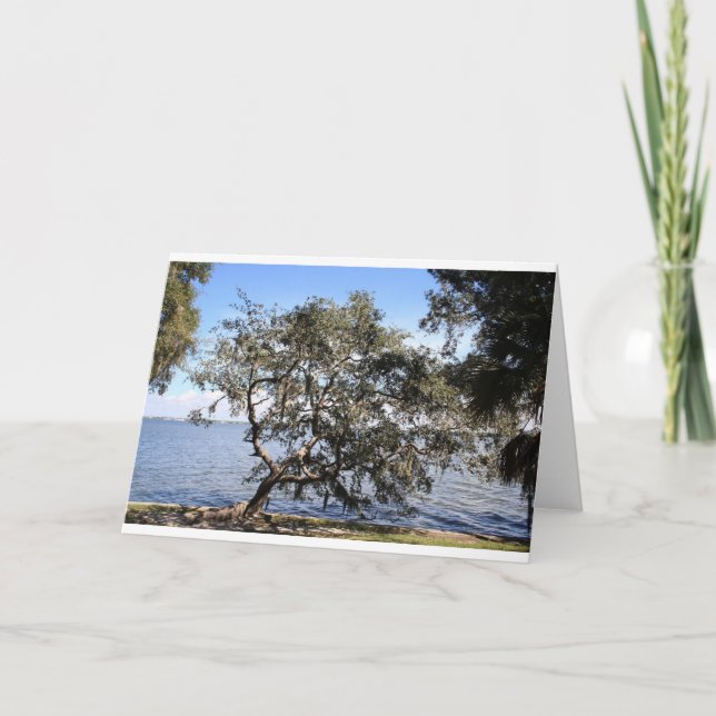 "Leaning live oak" note cards (Front)