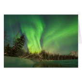 Leaning Spruce Aurora (Front Horizontal)