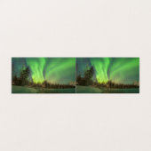 Leaning Spruce Aurora (Outside Unfolded)