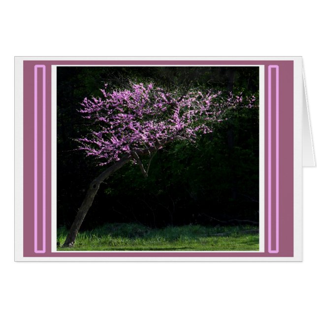 Leaning To Spring Cards (Front Horizontal)