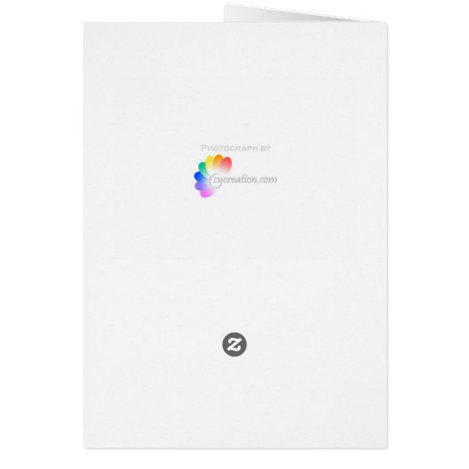 Leaning Tower of Pisa (Back)