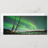 Leaning Tree Aurora (Front/Back)