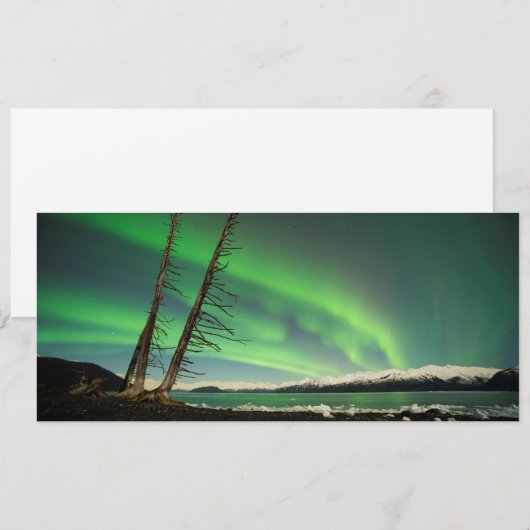 Leaning Tree Aurora (Front/Back)