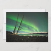 Leaning Tree Aurora (Front)