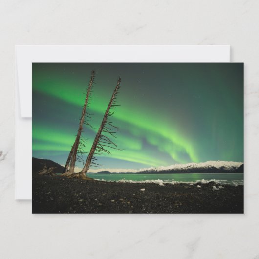 Leaning Tree Aurora (Front)