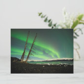 Leaning Tree Aurora (Standing Front)