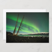 Leaning Tree Aurora (Front/Back)