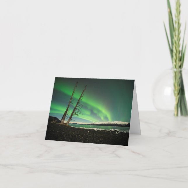 Leaning Tree Aurora Card (Front)