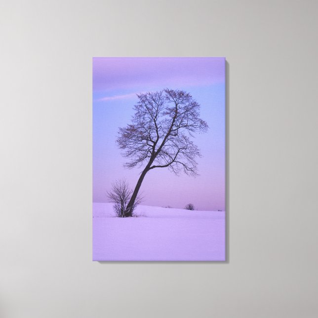 Leaning Tree in Snowy Field; Chippewa County; Canvas Print (Front)