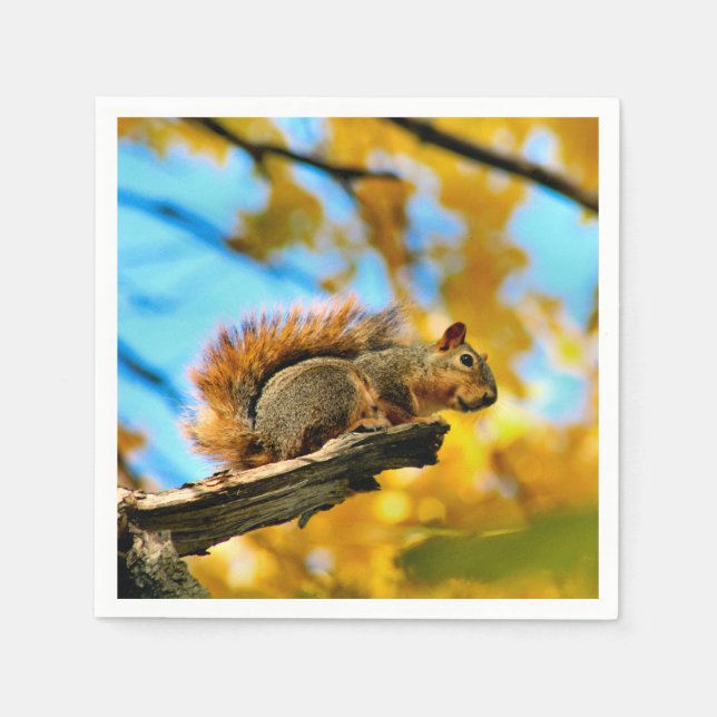 Leap Napkins (Front)