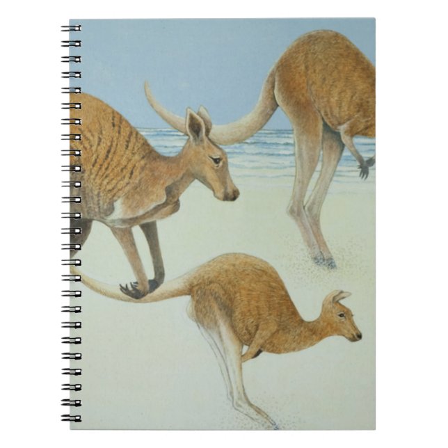 Leaping ahead notebook (Front)