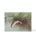 Leaping Brook Trout by S.A. Kilbourne Vintage Fish Invitation