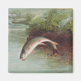 Leaping Brook Trout by S.A. Kilbourne Vintage Fish Magnet