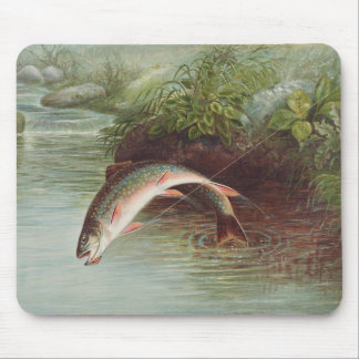 Leaping Brook Trout by S.A. Kilbourne Vintage Fish Mouse Pad