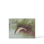 Leaping Brook Trout by S.A. Kilbourne Vintage Fish Postcard