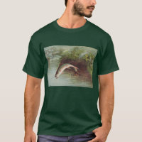 Leaping Brook Trout by S.A. Kilbourne Vintage Fish
