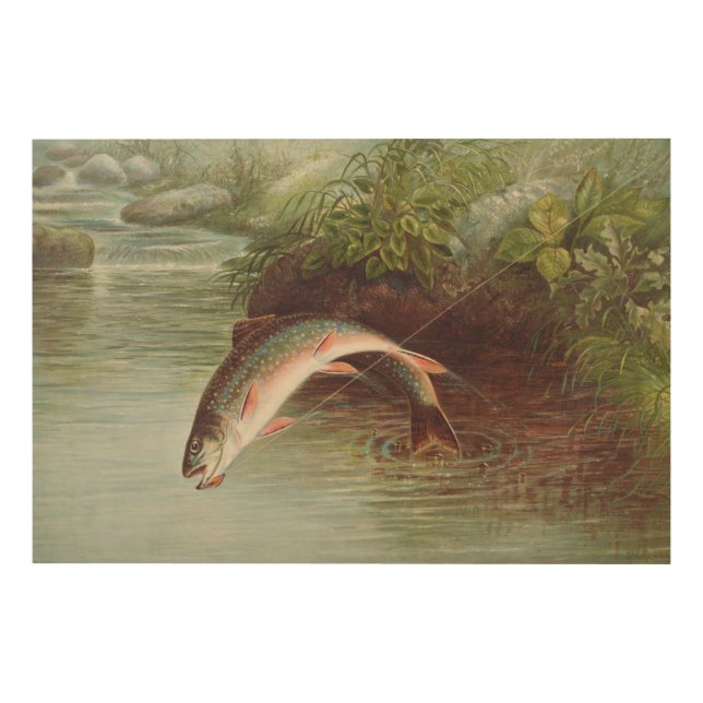 Leaping Brook Trout by Samuel Kilbourne (1874) Wood Wall Art (Front)