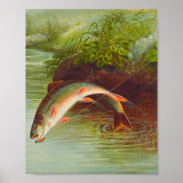 Leaping Brook Trout fish vintage illustrated Poster (Front)