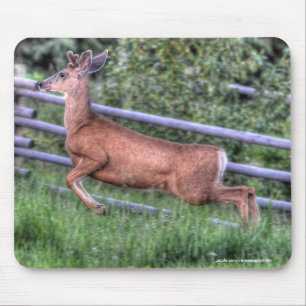 Leaping Deer Buck on Ranch Wildlife Photo Mouse Pad