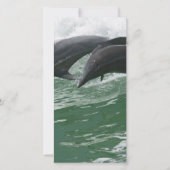 Leaping Dolphins (Front)