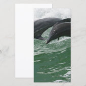 Leaping Dolphins (Front/Back)