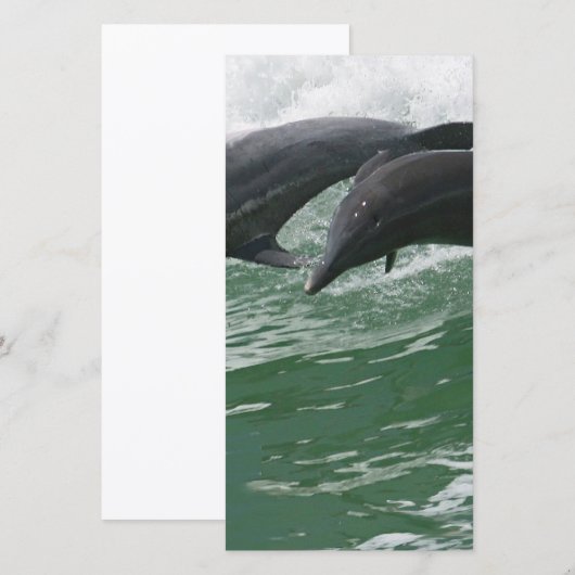Leaping Dolphins (Front/Back)
