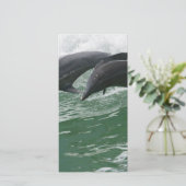 Leaping Dolphins (Standing Front)