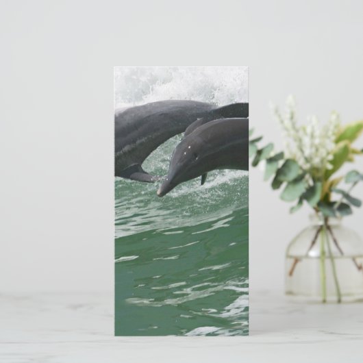 Leaping Dolphins (Standing Front)