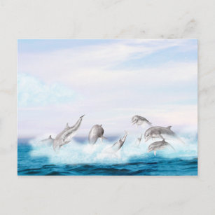 Leaping Dolphins Postcard