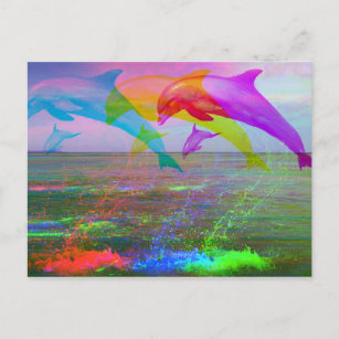 Leaping dolphins rainbow postcard
