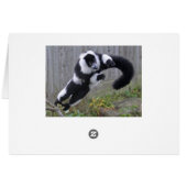 Leaping lemur card (Back Horizontal)