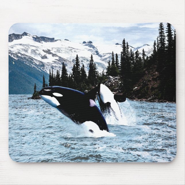 Leaping Orca Mouse Pad (Front)