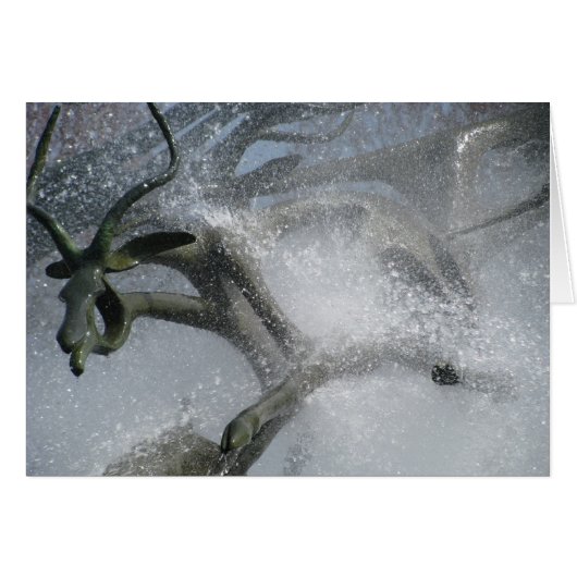 Leaping Water Cards (Front Horizontal)
