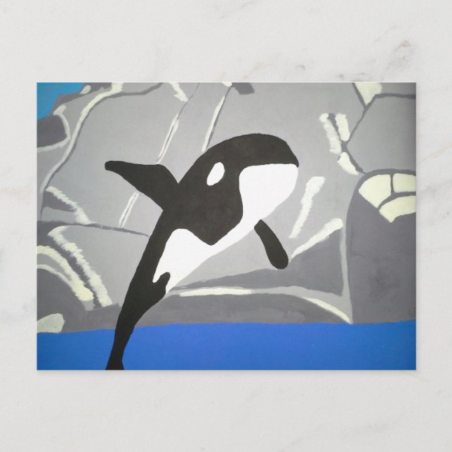 Leaping Whale  Postcard (Front)