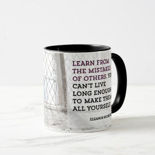 Learn From Mistakes of Others Mug
