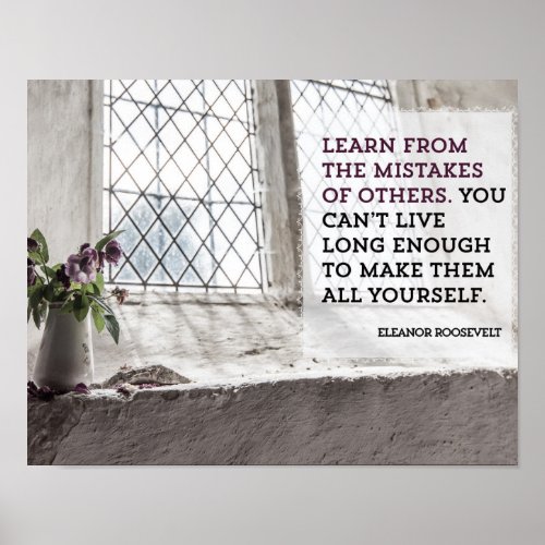 Learn From Mistakes of Others Poster