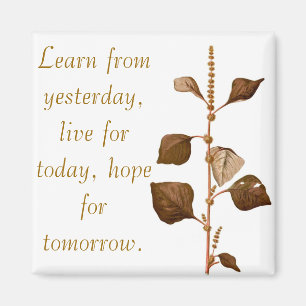 Learn from yesterday, live for today, hope for tom magnet