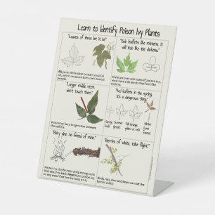 Learn to Identify Poison Ivy Plants  Pedestal Sign