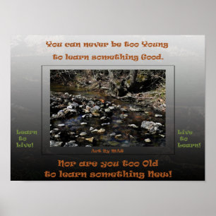 Learn to Live Live to Learn 2 Poster