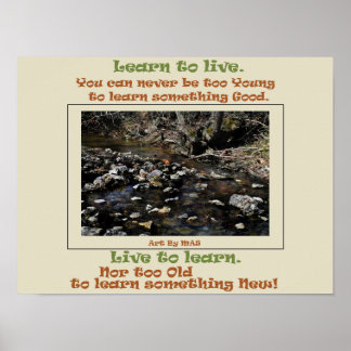Learn to Live Live to Learn Poster
