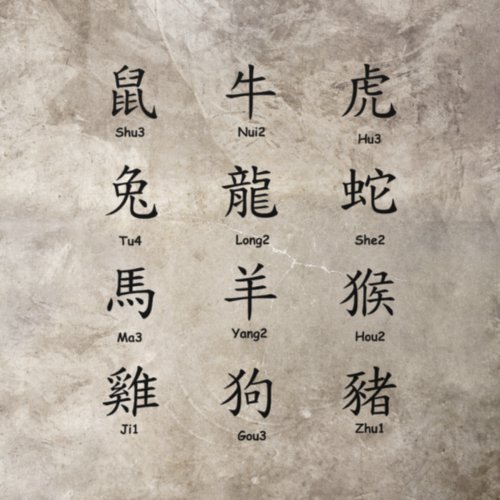 Learn to Read Chinese with Zodiac Animals Black Floor Decals
